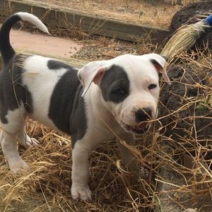 Meet your Posher, Joanne